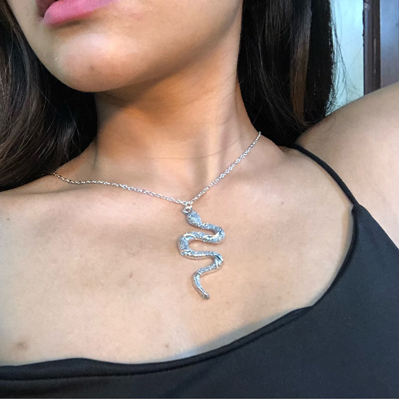 Stainless Steel Snake Necklace